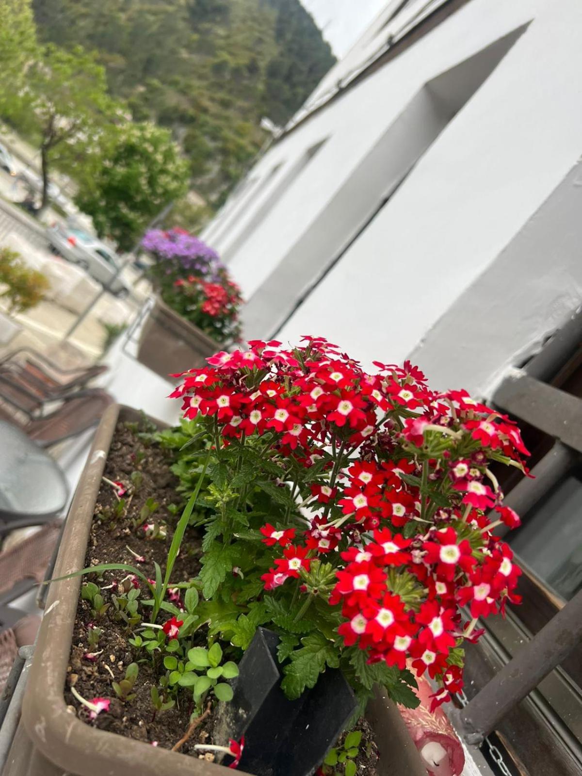 Hotel Omer Berat Ruang foto